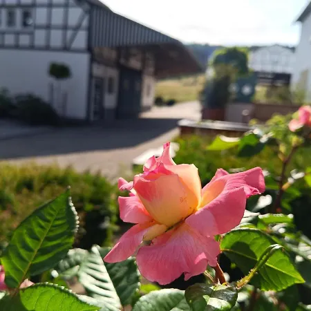 Kleine Auszeit Apartmán