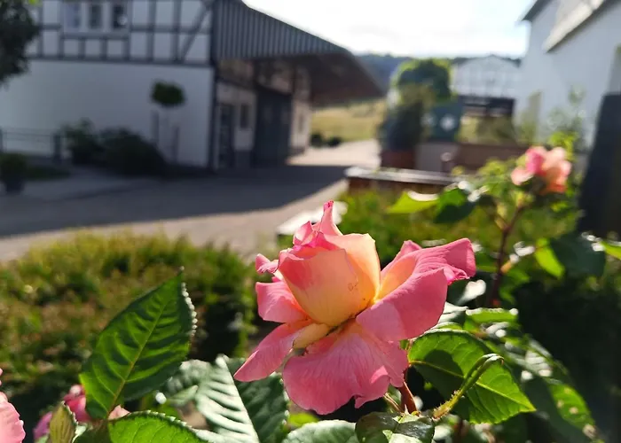 Kleine Auszeit Appartamento